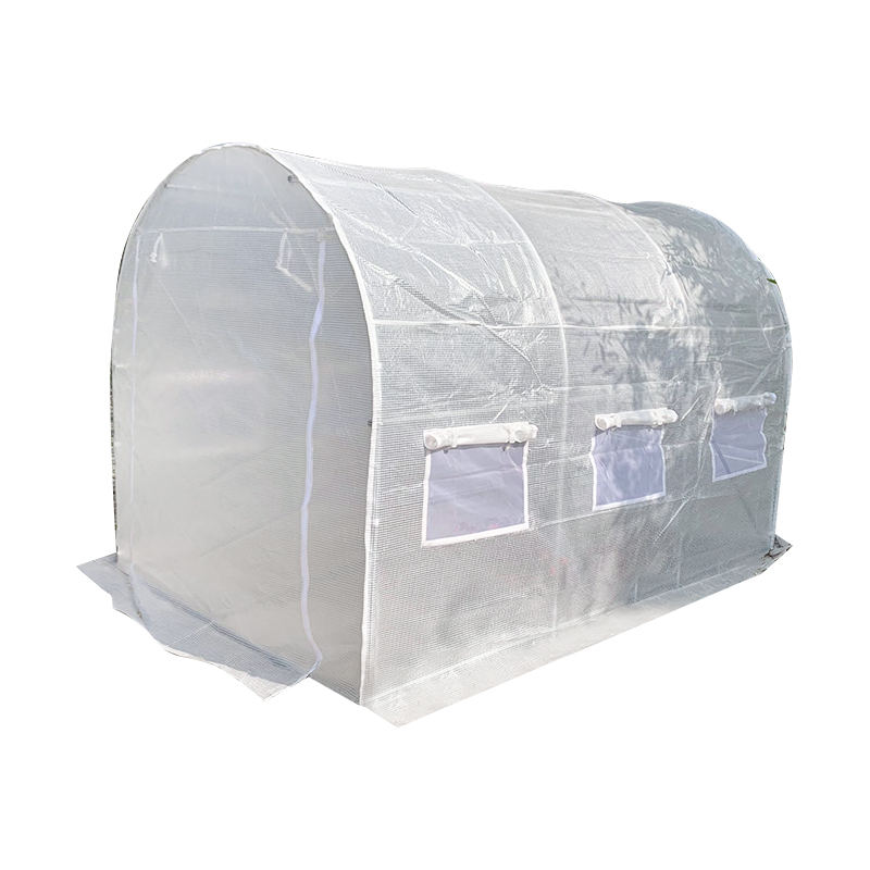 Kasvihuone vs. Polytunnel: mikä kasvurakenne on paras sijoitus ympärivuotiseen tuottoon?