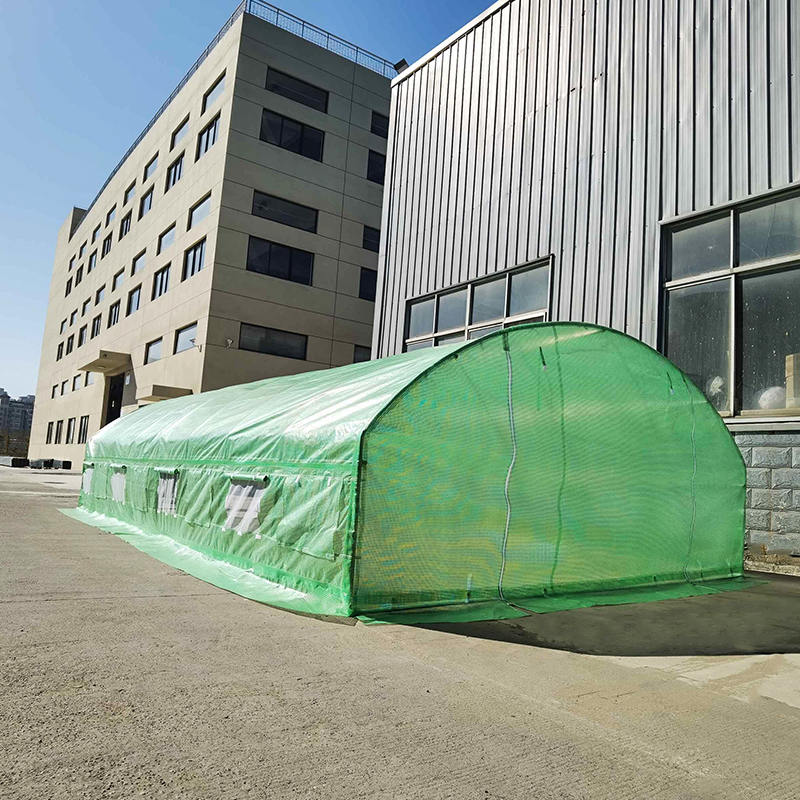 4x8x2m foliotunnelit Roundtop High Tunnel Greenhouse